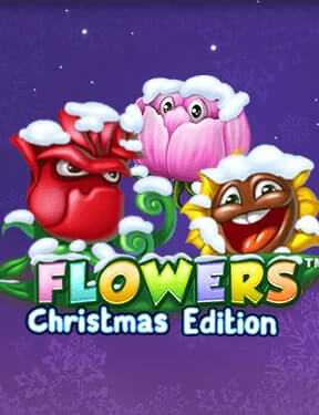 Flowers Christmas Edition